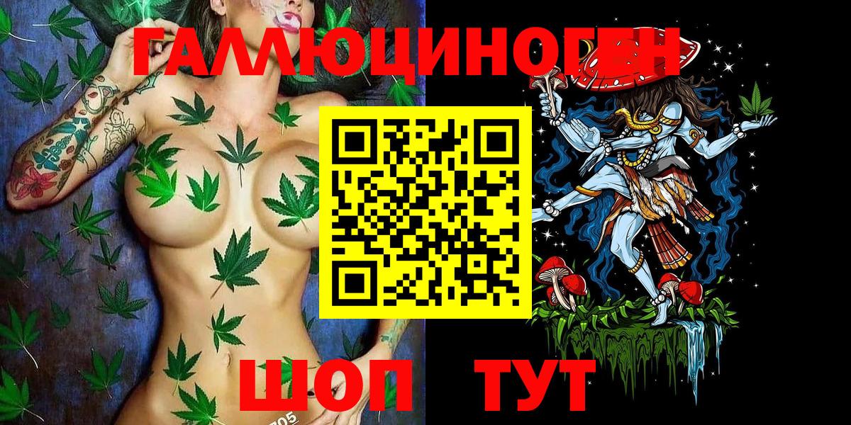 Галлюциногенные грибы Psilocybe Луга