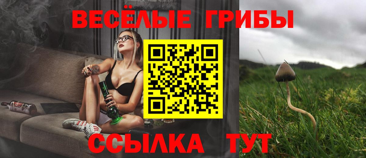 Галлюциногенные грибы GOLDEN TEACHER  Псилоцибиновые грибы мухоморы  Вход с VPN  купить наркотик  Луга 