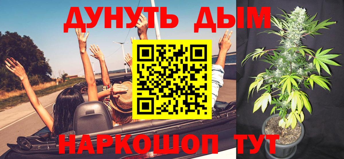 Бошки Шишки конопля  Шишки марихуана сатива  Конопля тримм  Вход с VPN  Луга 